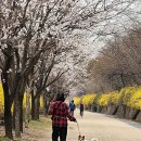 마포, 걷고싶은길 9코스 이미지