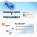 (주)바이오플랫폼 | 신라젠의 재도약, BAL0891과 GEEV 플랫폼이 그리는 항암제의 미래