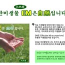 새로이피부