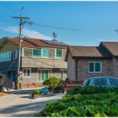 동막1리마을회관 이미지