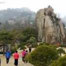 벼농사 못자리 관리 이미지