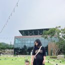 포엔카페로또