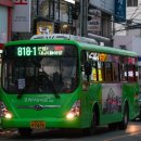 대화교통 이미지