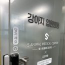 에스메디칼 | 울산 24시에스동물메디컬센터 프렌치불독 저혈당 입원후기