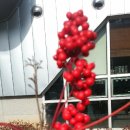 순천 연리지 한옥 이미지