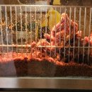 전통튀김 이미지