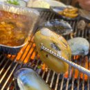 짱조개나라 이미지