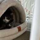 유현동물병원 이미지