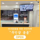 샵초도 이미지
