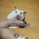 좋은데 이미지