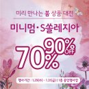 대전S쏠레지아 이미지