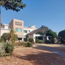 (주)섬고기 | 제주 고기국수 맛집 섬누들 후기