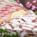 빛나는 바다 이미지