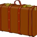 나홀로 진짜 여행 이미지