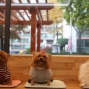 기린동물병원 이미지