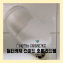 원더캐치 스마트 초파리 트랩으로 초파리 퇴치 후기