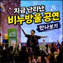 버블쇼 섭외문의 진천 증평 유치원 초등학교 마술과 비누방울 공연 후기