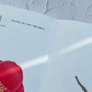 색연필로 쉽게 따라 그리는 꽃그림 이미지