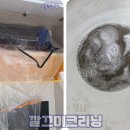 거성크리닝 이미지