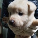 소사2길 이미지