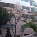 부흥로123번길 이미지