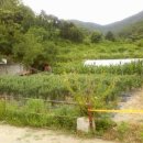 춘천호반쉼터 이미지