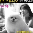샛별사진관 네이버블로그