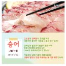 잊지못회어시장 네이버블로그