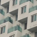 세이브프롬 | 새똥과의 사투로 가득했던 금주의 업뎃🤦‍♂️🥲 | 비둘기 퇴치 전문업체 <세이브프롬> 후기