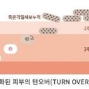 뉴스킨케어 이미지