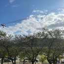 태화7길 | 태화강 은하수길 맛집 맨날국수 태화점 찬바람 불어 더 맛있었던 배말칼국수 후기