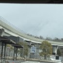 대창고등학교 | [나고야 지브리 파크] 프리미엄 대창고 티켓/지브리 굿즈/네코버스 후기