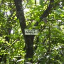 도모지골 이미지