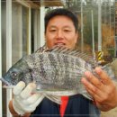 어심바다낚시터 이미지