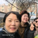 약대동 행정복지센터 이미지