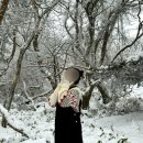 하예연가 이미지