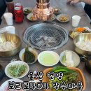 등억알프스로L 이미지