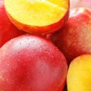 현대 기사식당 이미지