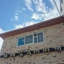 경기도 수원시 권선구 효원로 218 (권선동) | 권선동 인계동 부대찌개 맛집 최네집 수원점 | 전통의 송탄식 부대찌개 직장인 점심 맛집