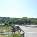 무릉도원면사무소 이미지