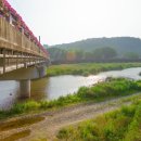 자원 오리성 이미지