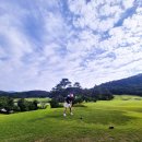 그레이스컨트리클럽 | ⛳ 청도 그레이스CC 다녀왔어요 — 유럽 속 한국 골프장이 실제로 있었다!