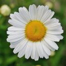 올바른서울병원 이미지