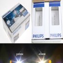 여주-0331 이미지