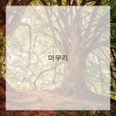 수채화 중급 이미지