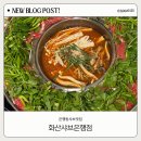 새(화산)2 | 대전 은행동샤브맛집 화산샤브 은행점 대만족 후기