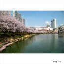 석촌호수 Daum카페