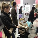 몽모드펫 이미지