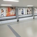 경희대킴스태권도장 이미지