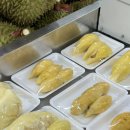 대림1농장 | 서울두리안 대림두리안 맛집 두리안제국 대림본점 두리안 포장 후기
